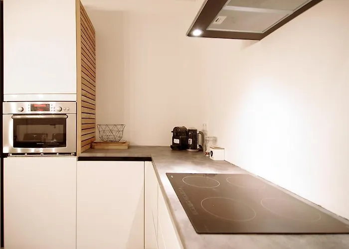 Apartment Two Tulips Dutch Retreat Hillegom