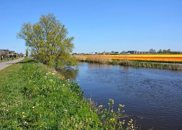 Apartment Two Tulips Dutch Retreat Hillegom
