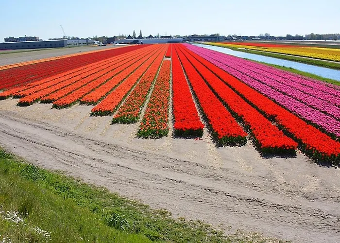 Apartment Two Tulips Dutch Retreat Hillegom