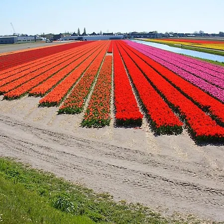 아파트 Two Tulips Dutch Retreat 힐리검