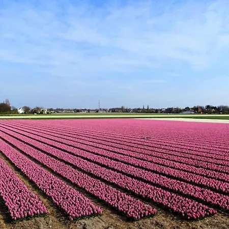 Two Tulips Dutch Retreat 아파트 힐리검